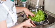 اشتباه رایج در شستن کاهو و سبزیجات؛ فقط آب گرفتن کافی نیست + روش درست شستشو