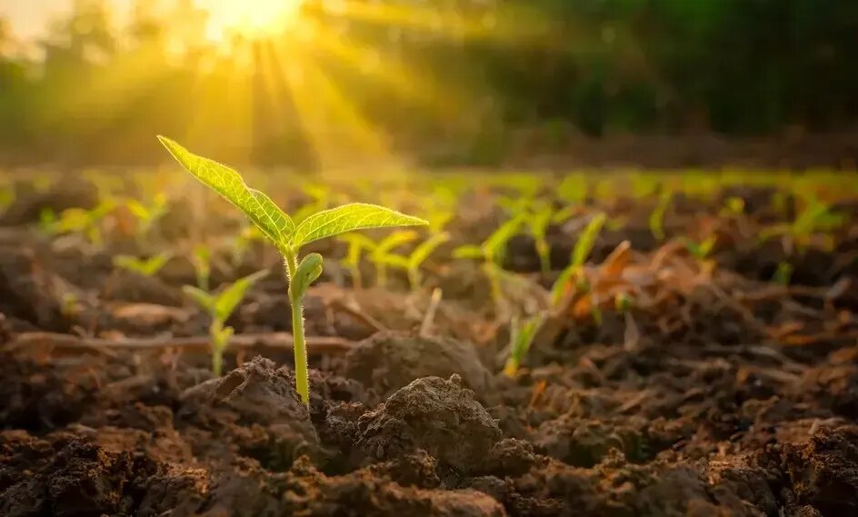 خورشید داغتر میشود؛ زمین چقدر دیگر دوام میآورد؟