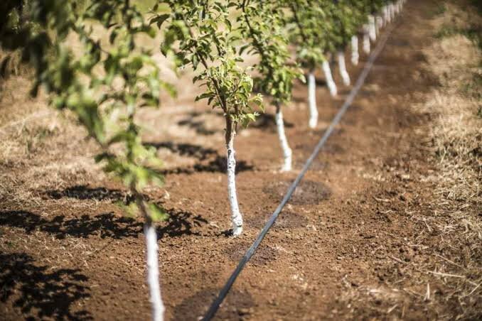 چه خبر از مناطق؟ / از مرمت ضربه گیر بزرگراه ها تا نصب سیستم آبیاری قطره ای در پایتخت