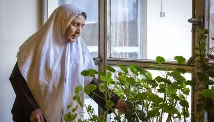 ۱۰ سرگرمی که تابستان را برای سالمندان لذتبخش میکند