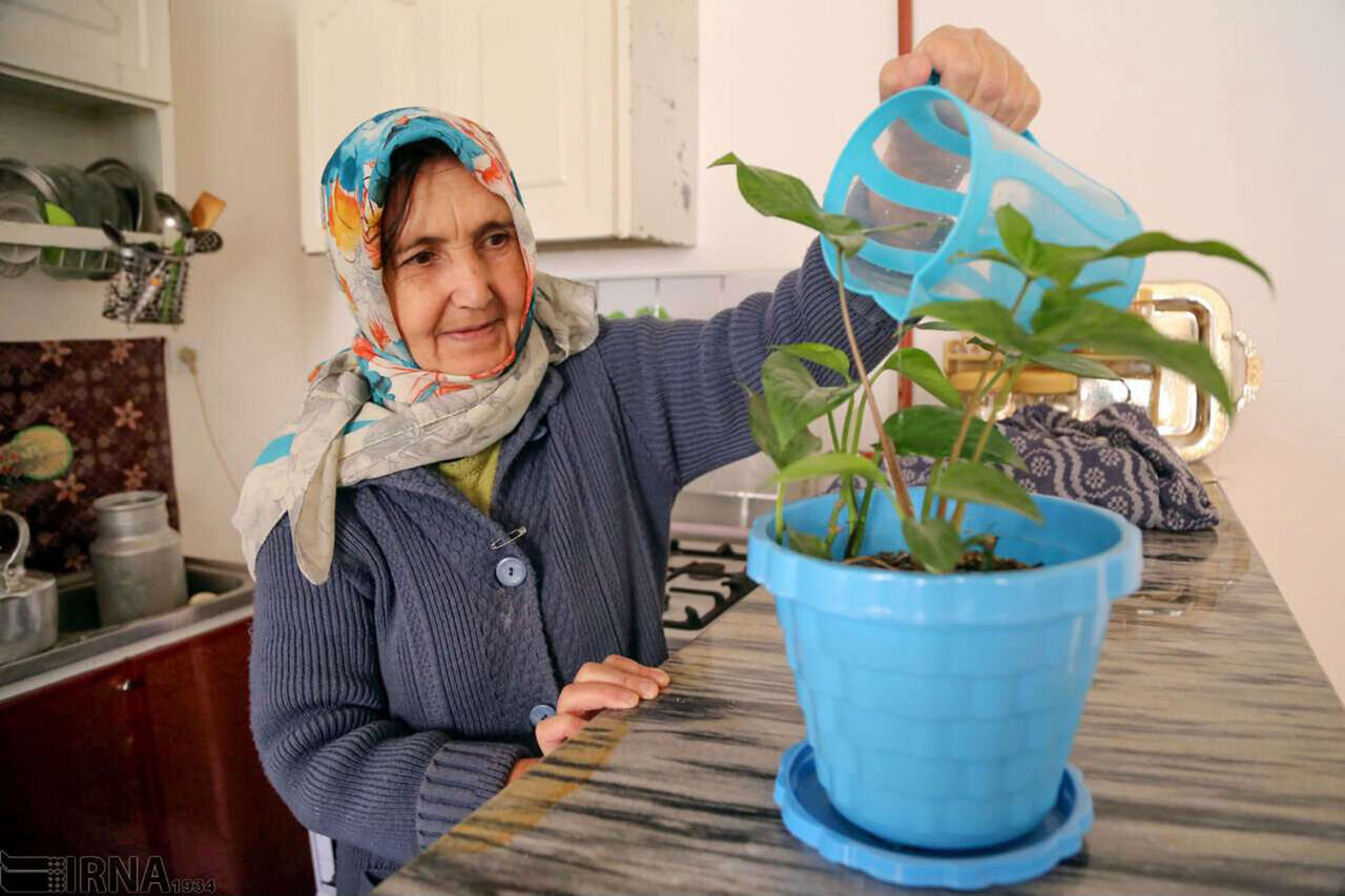 ۱۰ سرگرمی که تابستان را برای سالمندان لذت‌بخش‌ می‌کند