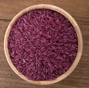 برنج ممنوعه در گیلان زیر کشت رفت | این برنج روزگاری مخصوص اشراف بود