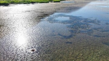 ال‌نینو ، تهران را نجات می‌دهد؟ | احتمال تجربه پاییز پربارش در ایران