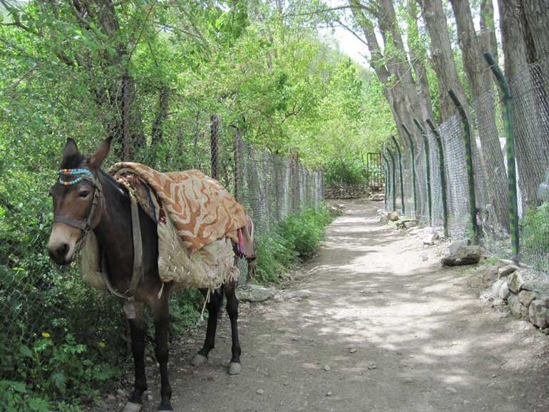 خنکای آخر هفته تهران