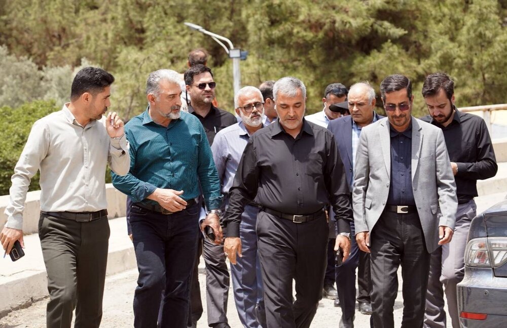 بازدید