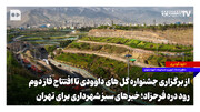 خبرهای سبز شهرداری برای تهران؛ از برگزاری جشنواره گل‌های داوودی تا افتتاح فاز دوم رود دره فرحزاد
