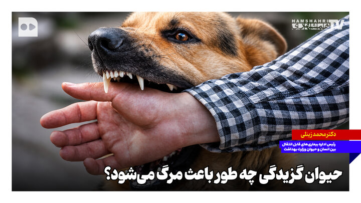 حیوان‌گزیدگی چطور باعث مرگ می‌شود؟