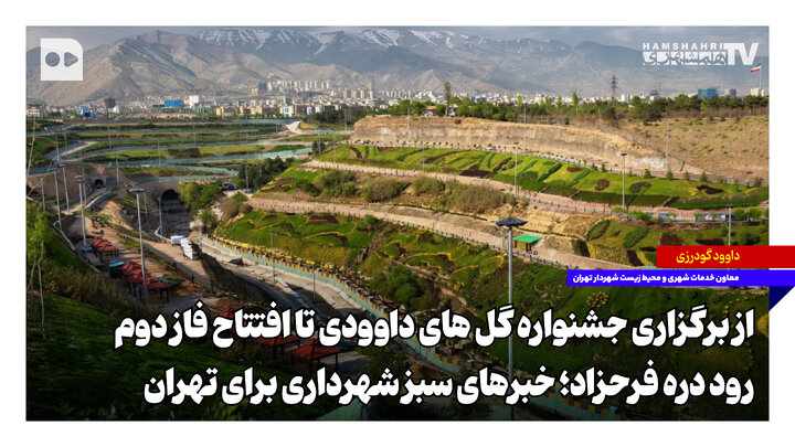 خبرهای سبز شهرداری برای تهران؛ از برگزاری جشنواره گل‌های داوودی تا افتتاح فاز دوم رود دره فرحزاد