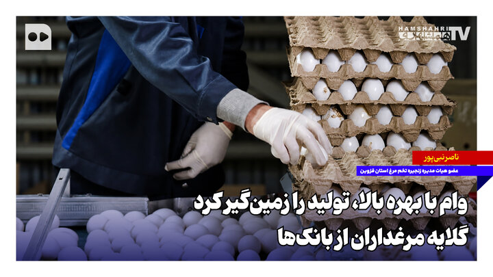 وام با بهره بالا، تولید را زمین‌گیر کرد؛ گلایه مرغداران از بانک‌ها