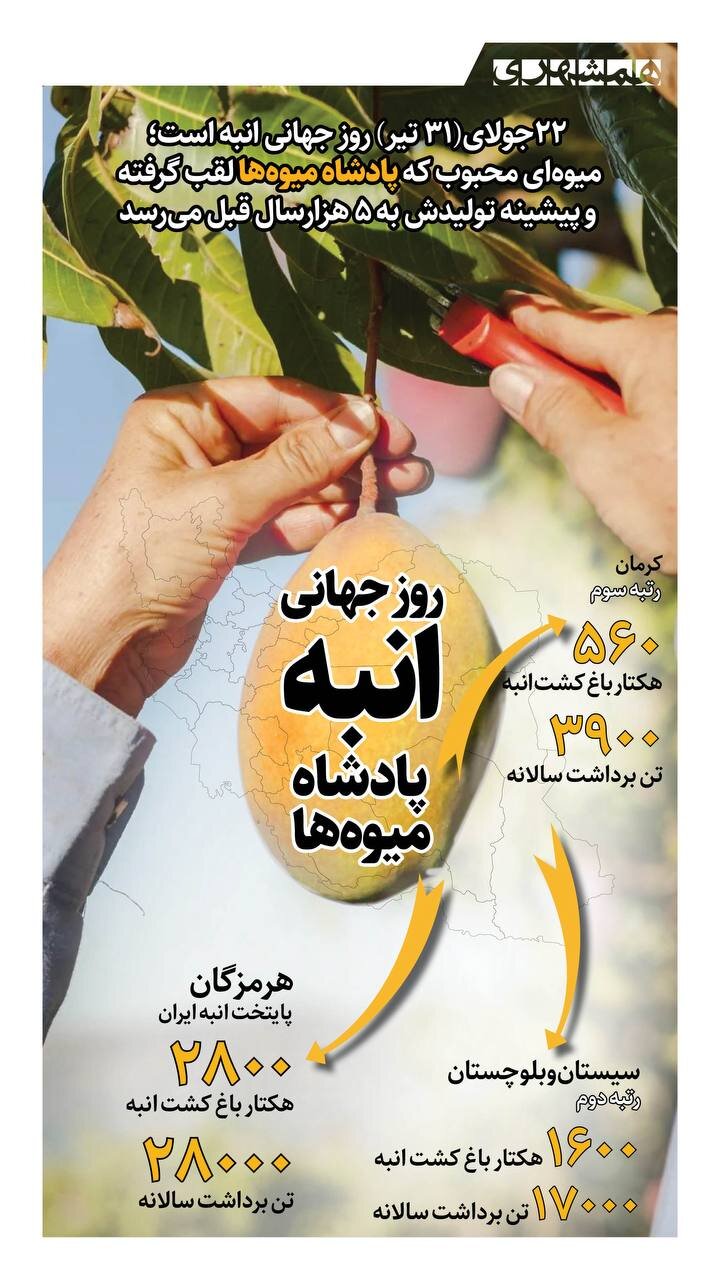 روز جهانی انبه، پادشاه میوه ها! + اینفوگرافیک