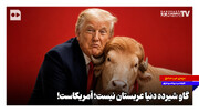 گاو شیرده دنیا عربستان نیست؛ آمریکاست!