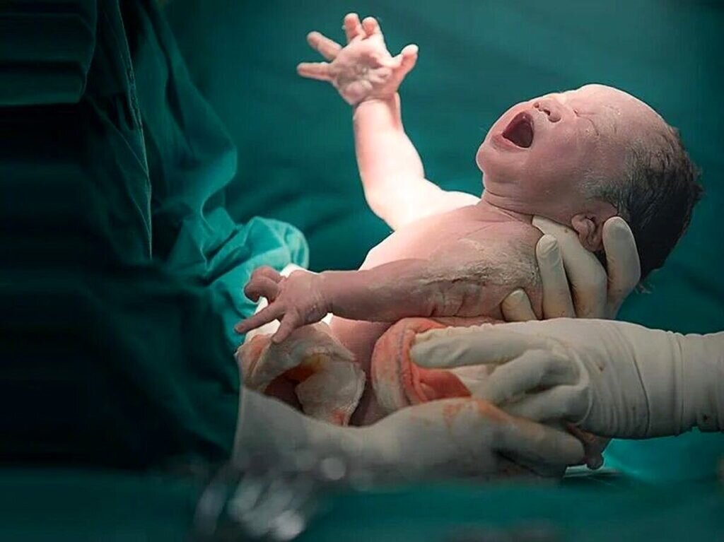 بیمارستانهای خصوصی هم به این بیمارستان جنوب تهران ارجاع میدهند | از هزارمین نوزاد IVF تا بزرگترین NICU کشور