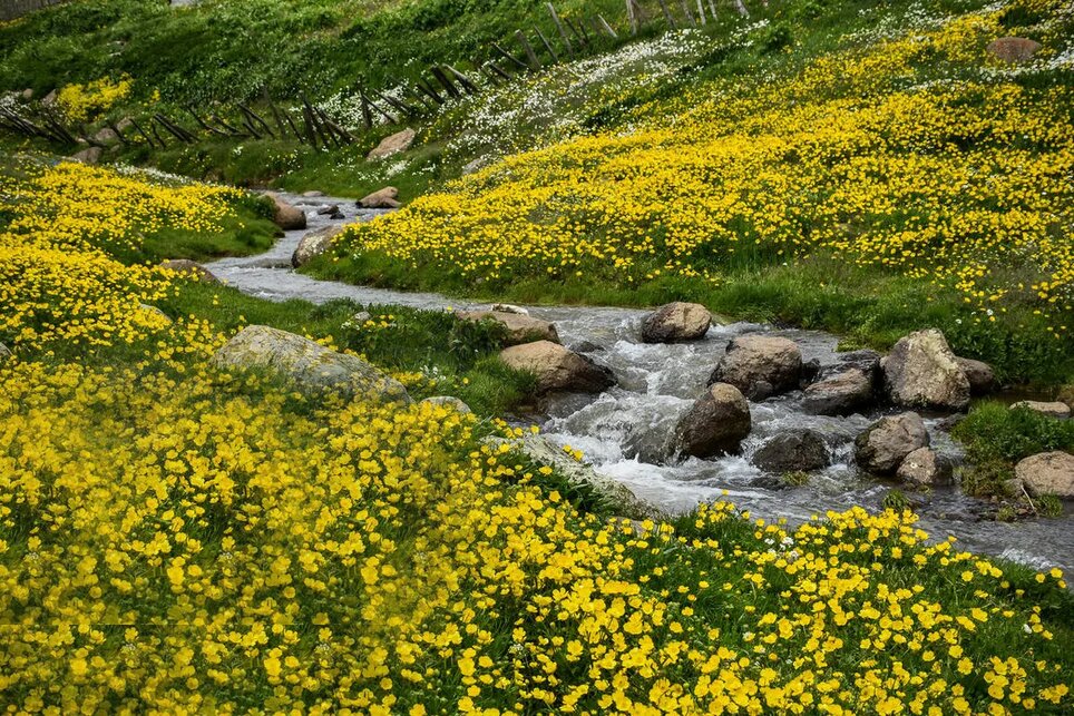 روایتی تصویری از دریاچه سوها تا ارتفاعات خیالانگیز در مرز اردبیل و گیلان/ بهشت به سبک ایرانی