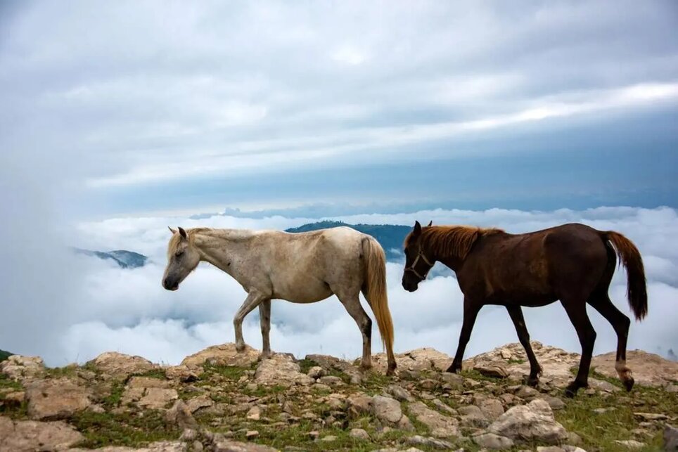روایتی تصویری از دریاچه سوها تا ارتفاعات خیال‌انگیز در مرز اردبیل و گیلان/ بهشت به سبک ایرانی