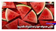 عکس هندوانه خود را به اشتراک نگذارید!