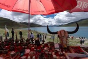 تصاویری دیدنی از زندگی در تبت