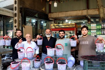 گل سرسبد شاتوت ایران کجاست؟