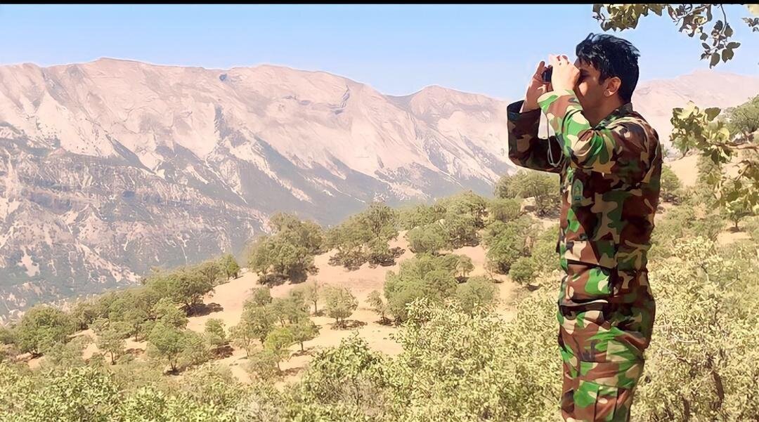 پرویز سلیمانی - جنگلبان نمونه