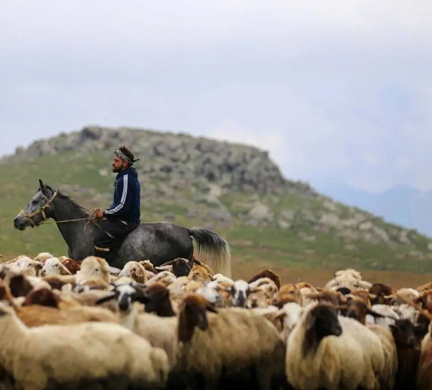 زندگی روی خط کوچ