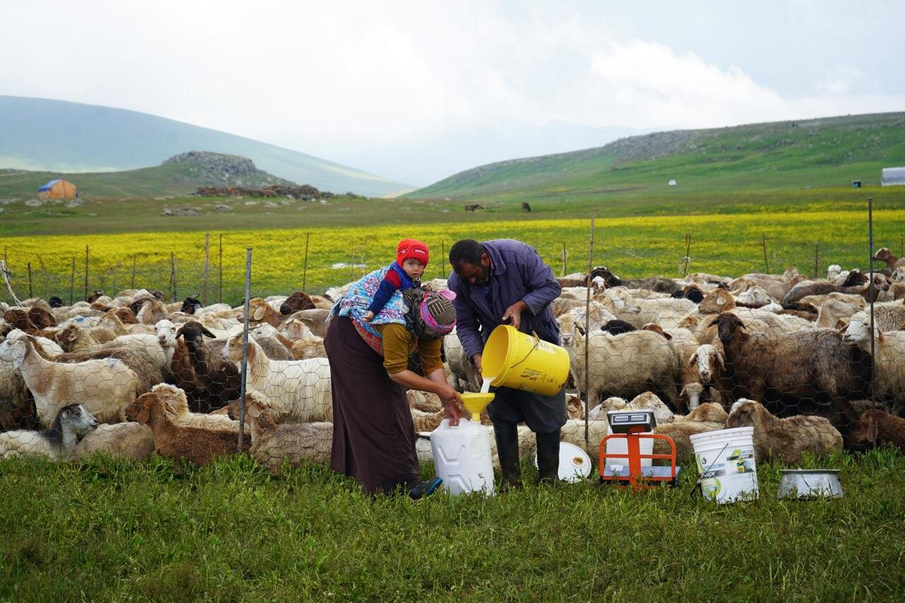 زندگی روی خط کوچ