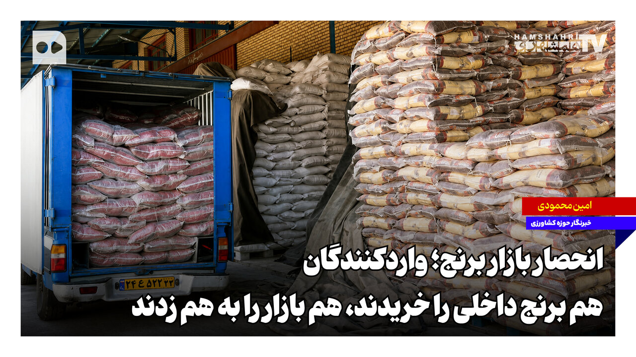 انحصار در بازار برنج؛ واردکنندگان هم برنج داخلی را خریدند، هم بازار را به هم زدند