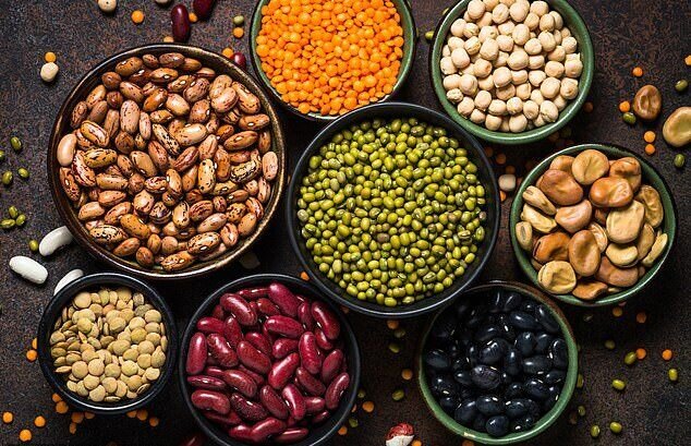 پروتئین گیاهی