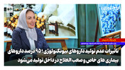 تاثیرات عدم تولید داروهای بیوتکنولوژی؛ ۹۵ درصد داروهای بیماری‌های خاص صعب‌العلاج در داخل تولید می‌شود