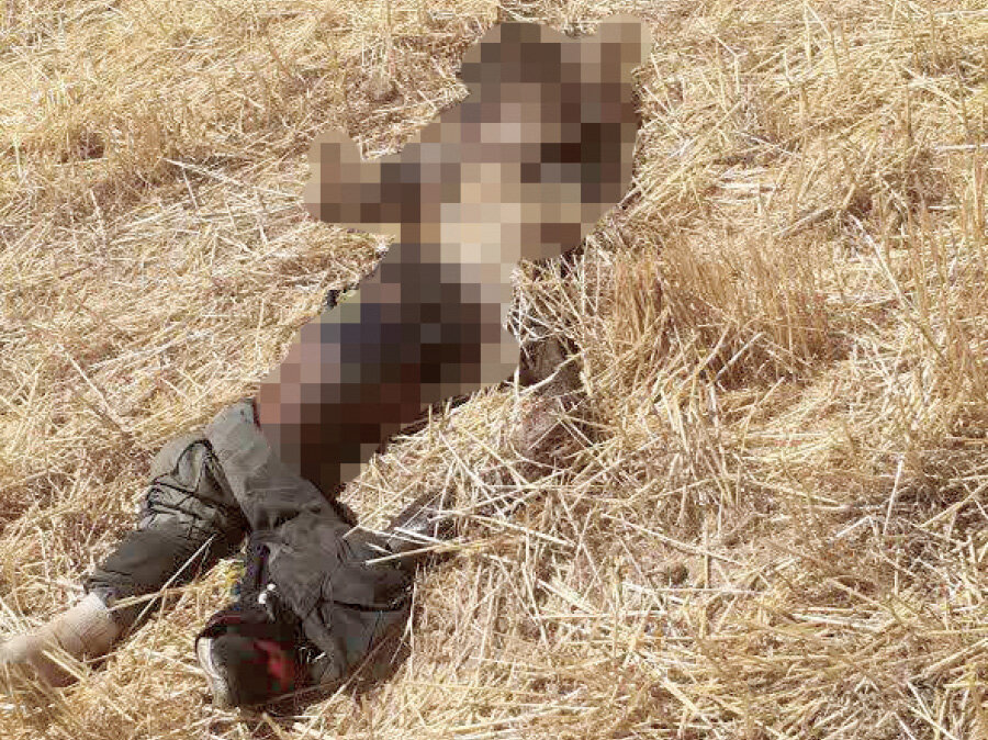تصویر و ماجرای جسد ناشناس که توسط حیوانات خورده شد+ جزئیات