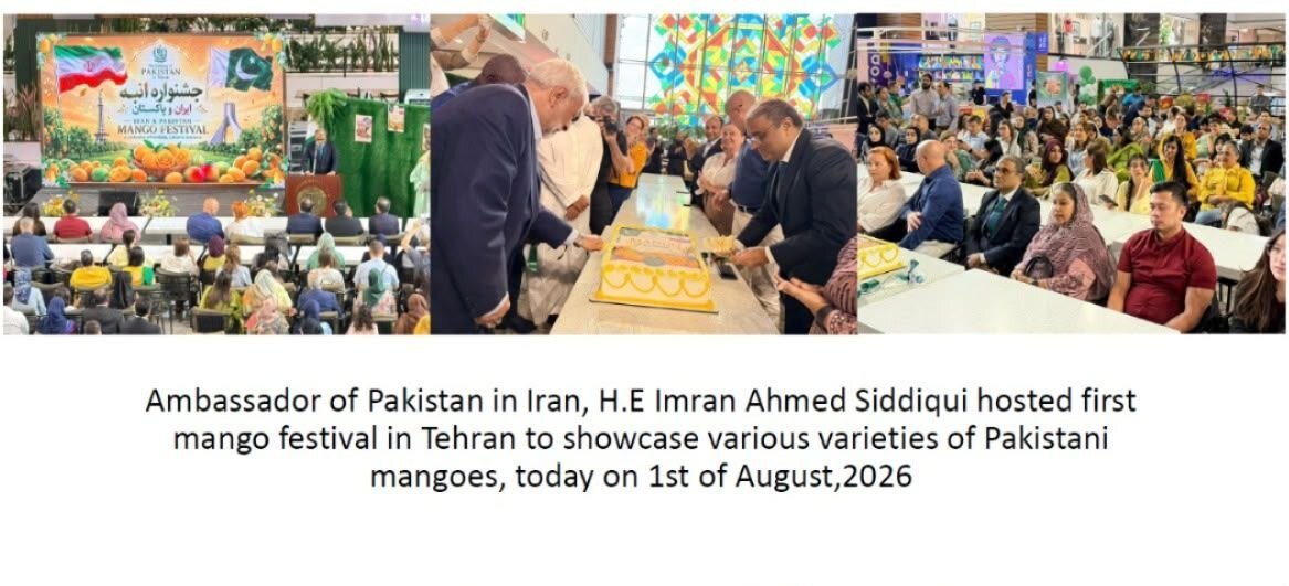 جشنواره انبه پاکستان در تهران ؛ معرفی طعمهای استثنایی و تقویت دوستی دو کشور