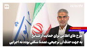 طرح‌های اعلامی برای حمایت از صنایع به جهت حذف ارز ترجیحی، عمدتا شکلی بوده نه اجرایی