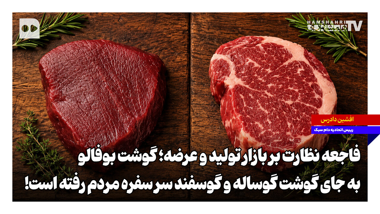 گوشت بوفالو به جای گوشت گوساله و گوسفند سر سفره مردم رفته است!