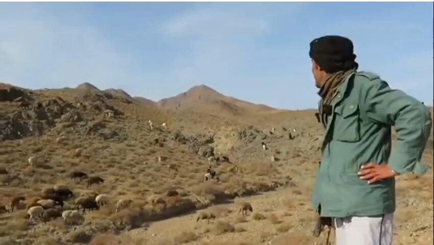 چوپان بردسکنی