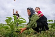 تغییر در بیمه روستاییان و عشایر، دهک‌های ۶ تا ۱۰ برای تمدید اقدام کنند | نظام ارجاع در این سه شهر تهران آغاز شده است