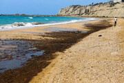 وضعیت سواحل قشم و هنگام پس از آلودگی نفتی | ورود دادستانی برای شناسایی منشأ آلودگی 