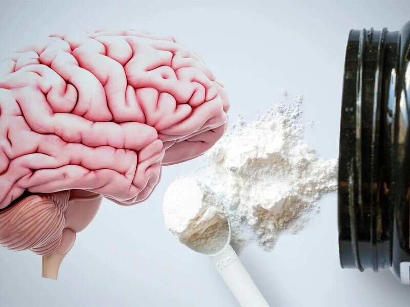 مکمل محبوب بدنسازها به سلامت مغز کمک میکند | بهترین زمان مصرف کراتین چه موقع است؟