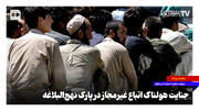 جنایت هولناک اتباع غیرمجاز در پارک نهج‌البلاغه