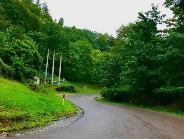 زیباترین جاده‌های ایران؛ ۱۰ مسیر دیدنی و خنک برای سفر تابستانی