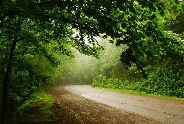 زیباترین جاده‌های ایران؛ ۱۰ مسیر دیدنی و خنک برای سفر تابستانی