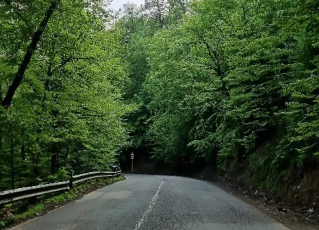 زیباترین جاده‌های ایران؛ ۱۰ مسیر دیدنی و خنک برای سفر تابستانی