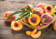 هلو برای دیابتی‌ها خوب است یا بد؟