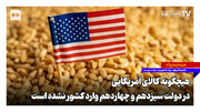 هیچگونه کالای آمریکایی در دولت سیزدهم و چهاردهم وارد کشور نشده است