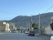 کفری و داستان کنسروهای شیطانی
