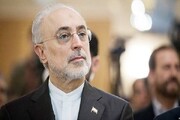 «مدال رسول» به دانشمندان جوان زیر ۴۰ سال جهان اسلام اعطا می‌شود