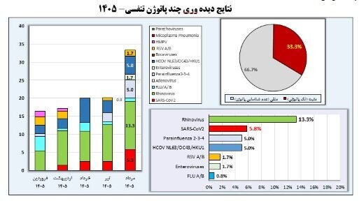 شیوع آنفلوآنزای تابستانی در کشور | ۲ استان بالاتر از وضعیت هشدار ابتلا