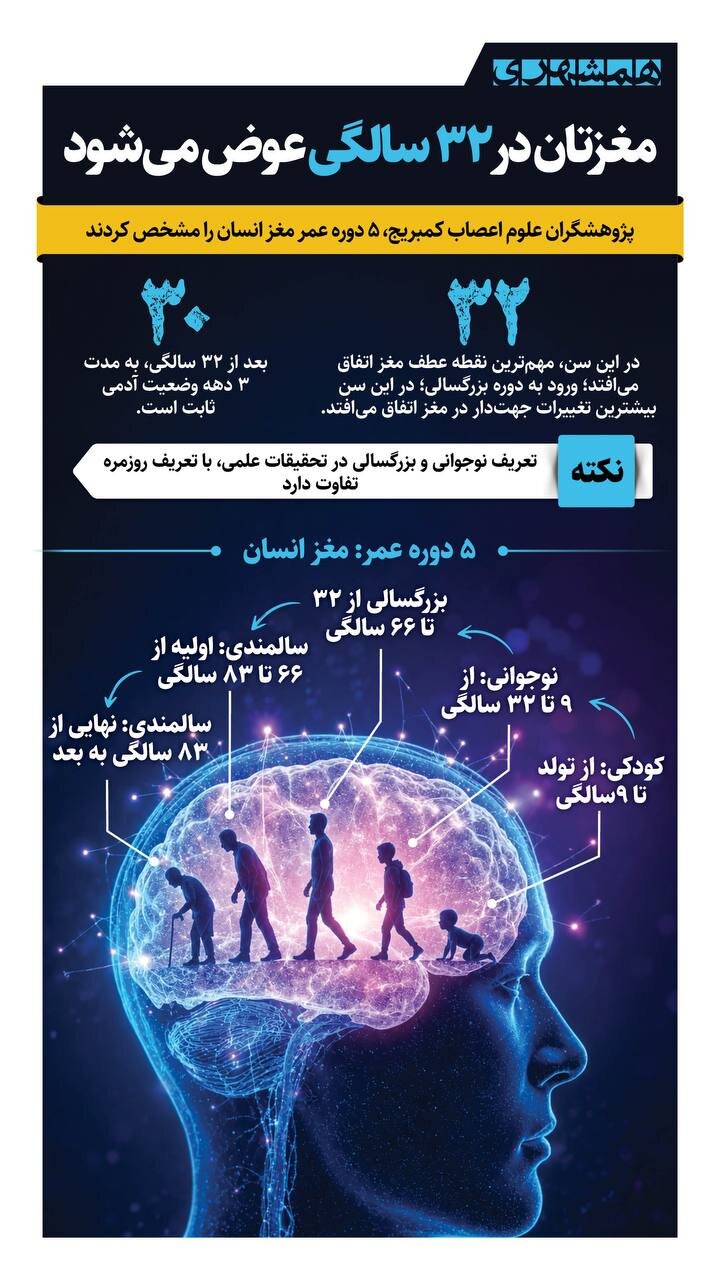 نتایج پژوهشی جدید: مغزتان در ۳۲سالگی عوض می‌شود