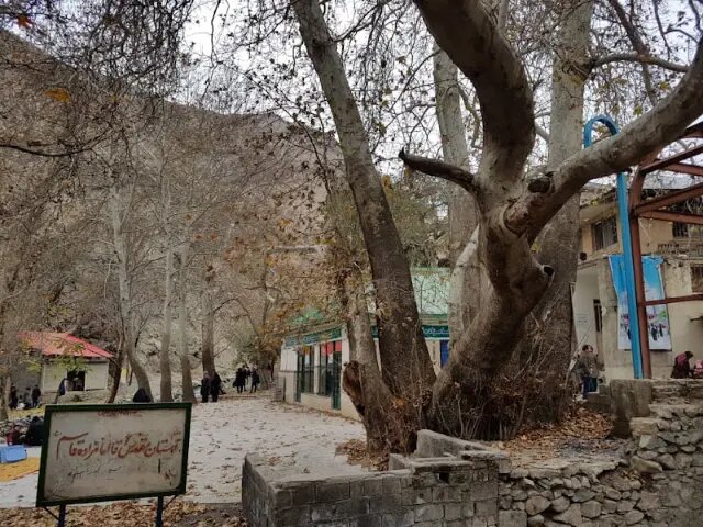 چال ماهی تهران کجاست؟ ؛ راهنمای سفر یک روزه به چال ماهی | چال ماهی چقدر پیاده روی دارد؟