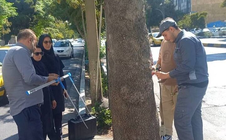 چه خبر از مناطق؟ از اجرای ۹۷ کارویژه برای تحول در غرب تهران تا برپایی بازارچه کارآفرینی در بوستان جوانمردان
