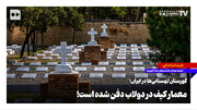 گورستان لهستانی‌ها در ایران؛ معمار کی‌یف در دولاب دفن شده است!