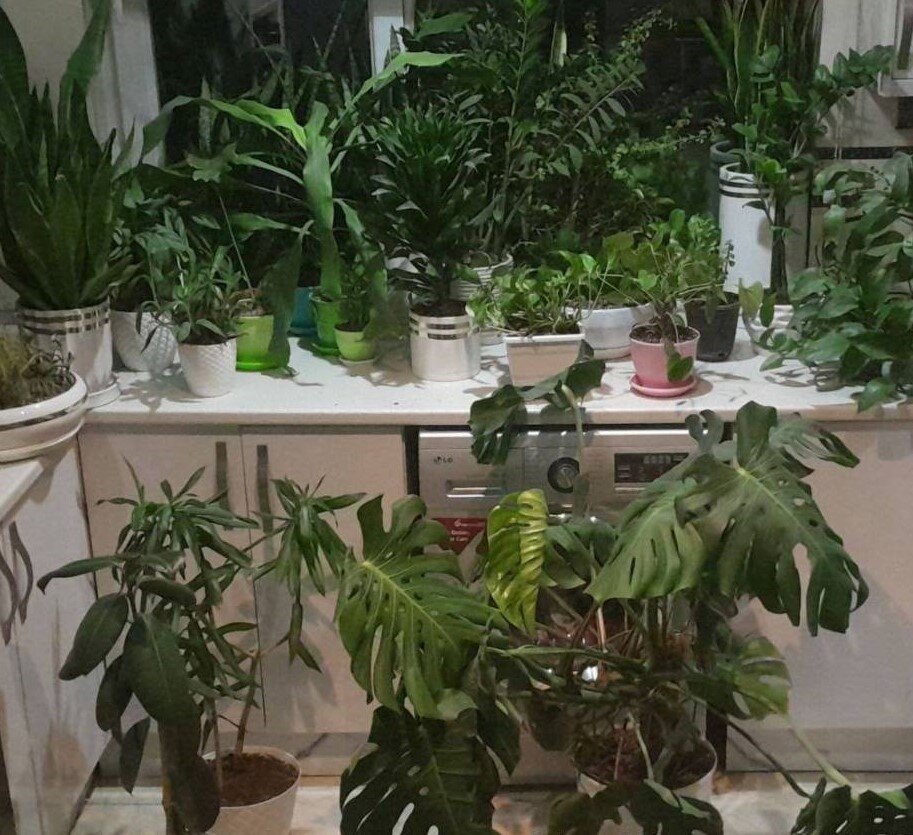 چه خبر از مناطق؟ از بهره مندی ظرفیت قنات مهدیآباد تا تکمیل ۶۶ پروژه توسعه محله ای در غرب تهران