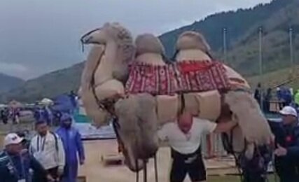 شتر